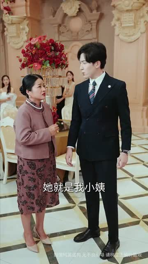 顾总的隐秘之恋（34集）高清无码免费看