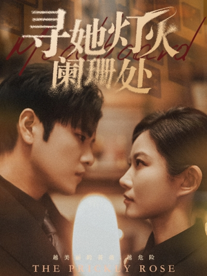 寻她灯火阑珊处（61集）在线看免费版