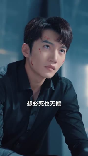 双生风云（92集）夸克网盘在线看