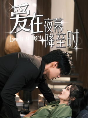 爱在夜幕降至时（73集）迅雷网盘观看