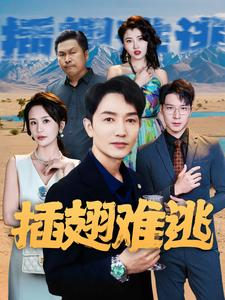 插翅难逃（43集）精彩片段