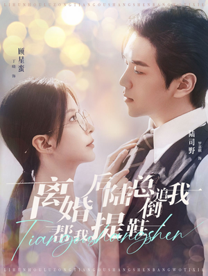 离婚后陆总倒追我帮我提鞋（100集）在线看完整版