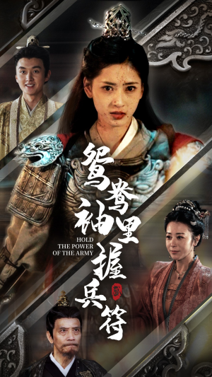 鸳鸯袖里握兵符（88集）短剧精彩不断