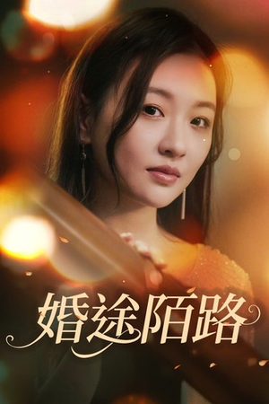 婚途陌路（15集）精彩好看的短剧