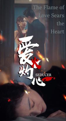 爱火灼心（99集）经典老剧免费看