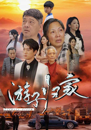 游子归家（88集）好看的短剧来了