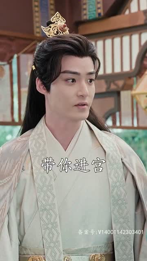 穿越王妃想和离（89集）全季一次看完
