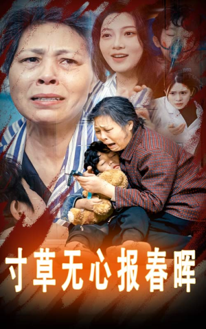 寸草无心报春晖（31集）百万短剧抢先看