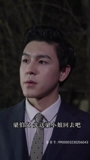 黯然失色（80集）穿越短剧推荐