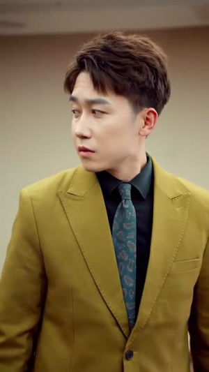 导演是怎样炼成的（70集）热门短剧看不停