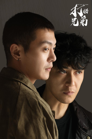 打拐兄弟（30集）在哪里看