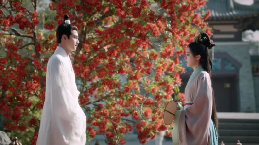 度华年（40集）火热短剧抢先看