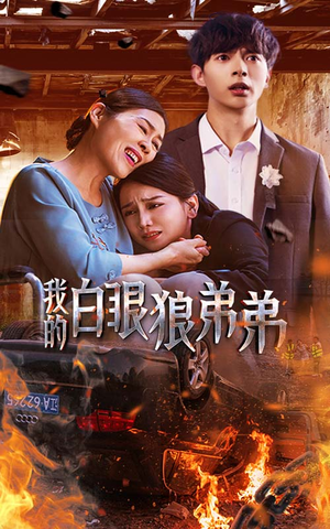 我的白眼狼弟弟（69集）热门短剧又来了