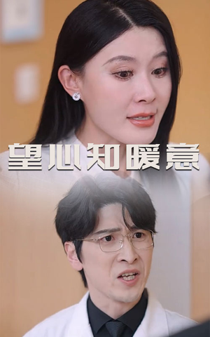 望心知暖意（31集）在线播放