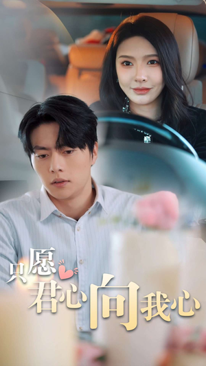 只愿君心向我心（31集）演员表