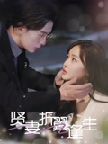 贤妻折翼逢生&雨落灯残梦（85集）  热播短剧推荐