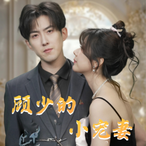 顾少的小宠妻（90集）短剧精彩不断