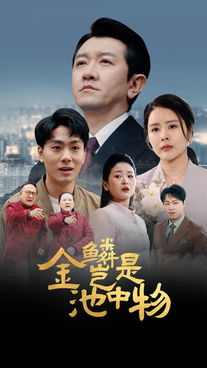 金鳞岂是池中物（61集）常回家看看短剧