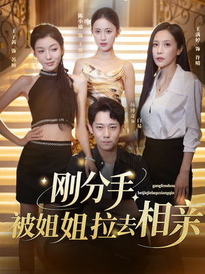 刚分手被姐姐拉去相亲&分手被姐姐拉去相亲（73集）真的太精彩了