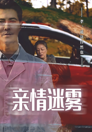 亲情迷雾（30集）红果免费看短剧