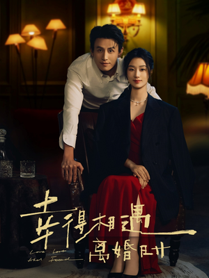 幸得相遇离婚时（81集）好看的短剧分享