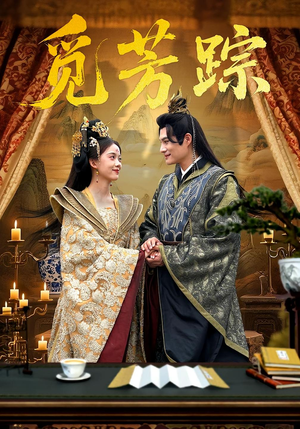 觅芳踪（91集）高清无码免费看