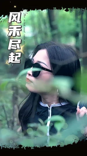 风禾尽起（31集）好看的短剧